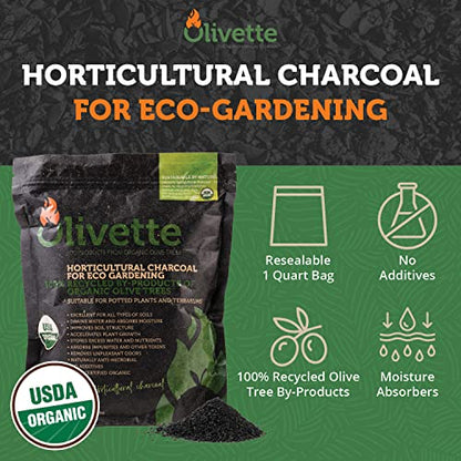 OLIVETTE Organic Biochar Activated Charcoal for Plants, 3 Bags | USDA Horticultural Charcoal, Moisture Control For Terrariums & Potted Plants, Biochar Soil Additive For Gardening - size: 3 Bags