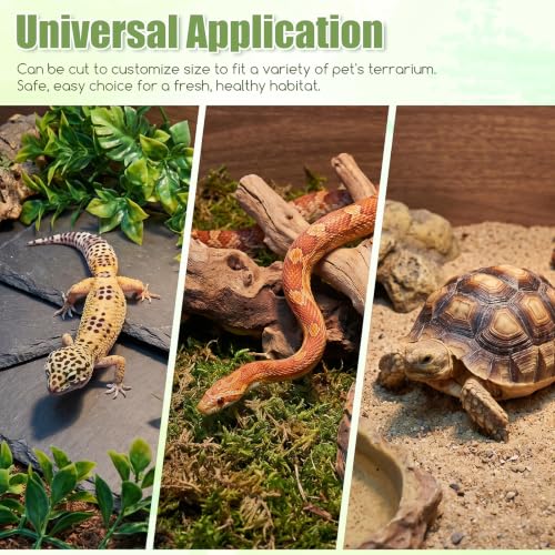 120Gallon Reptile Terrarium Mat Liner 59X24 Reptile Carpet Bedding | Leopard Gecko Tank Liner Mat Bearded Dragon Substrate for 4x2x2 Reptile Enclosure