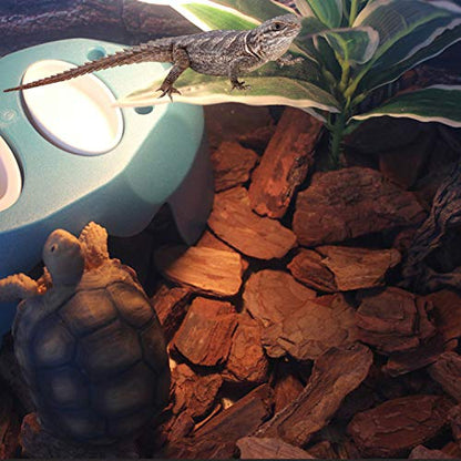 Reptile Hideout Cave Box with 2 Ceramic Sinks Fit for Snakes Lizards Chameleons Tree Frogs Geckos Small Tortoises and Other Small Reptiles (Blue) - color: Blue
