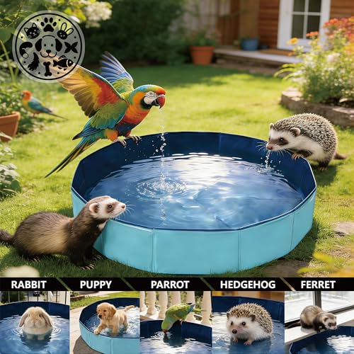 Foldable Pet Bath Pool, Collapsible Dog Bath Tub for Large & Small Dogs, Cats, Bearded Dragon, Portable Outdoor Swimming Pool for Camping, Washing Vegetables (Small Animal - Blue)
