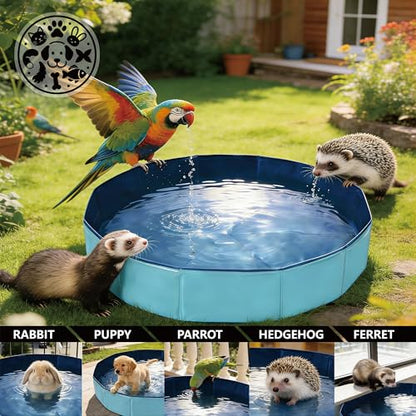 Foldable Pet Bath Pool, Collapsible Dog Bath Tub for Large & Small Dogs, Cats, Bearded Dragon, Portable Outdoor Swimming Pool for Camping, Washing Vegetables (Small Animal - Blue)