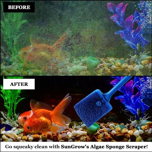 SunGrow Aquarium, Crested Gecko, Hermit Crab Sponge Scraper Cleaner, 16” x 2”, Double-Sided Blue Sponge, Freshwater & Saltwater Fish Tank Maintenance, for Glass Surfaces Only