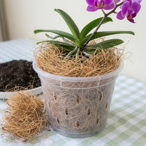 Natural Coconut Husk Fiber Organic Pure Coconut Husk Silk for Plants Coconut Fiber Substrate Loose & Fluffy Non-Vacuumed Easy to Separate for Orchids 1.76 Oz (50g) - size: 50g
