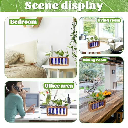 Glass Plant Propagation Station with 5 Test Tubes Colorful Planter Vase | Birthday Gifts for Women in Wooden Stand - color: Blue