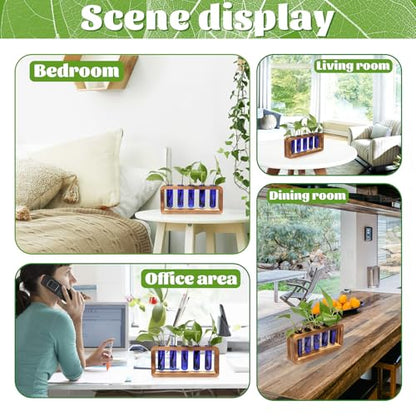 Glass Plant Propagation Station with 5 Test Tubes Colorful Planter Vase | Birthday Gifts for Women in Wooden Stand - color: Blue