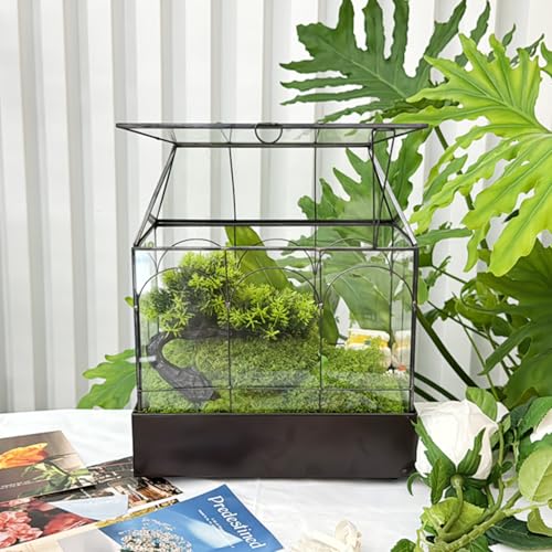 Large Glass Terrarium with Metal Tray, Glass Greenhouse Terrarium, Succulent Terrarium Kit for Succulents, Cacti, Snails, Spiders, and Miniature Reptiles, Black (Velvet Bottom)