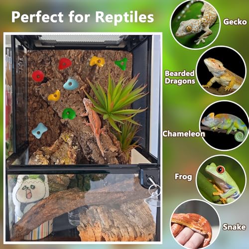 32PCS Rock Climbing Holds for Bearded Dragons Climbing Rock Wall Grips for Bearded Dragons Tank Accessories Reptiles Toy Rock Wall Holds (Not Glue) - color: Black