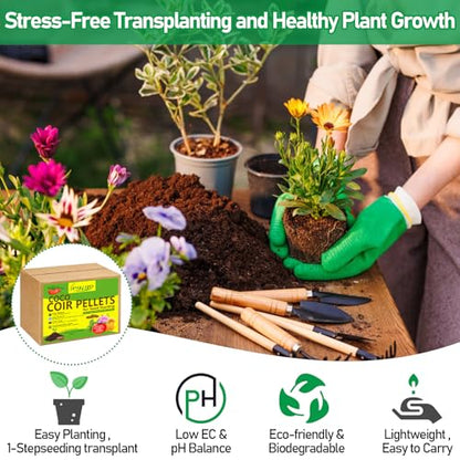 50 Pcs 40mm Coco Coir Pellets Seed Starter Soil Mix- Organic Coconut Coir Potting Soil Pods for Seedling, Coco Peat Soil Discs for Indoor & Outdoor Plants Bonsai Herbs Vegetables and Flowers - size: 40mm