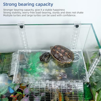 12" Acrylic Turtle Basking Platform for Aquatic Turtles | Acrylic turtle basking platform with tool-free attachment to tank rims. Thickened acrylic. Suitable for aquatic turtles