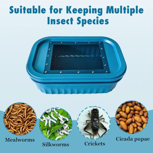 Mealworm Breeding Box, Reptile Feeder Keeper with Vented Lid for Reptiles | Dual-Layer Automatic Waste Filter Design, Large Capacity, Breathable Escape-Proof Lid