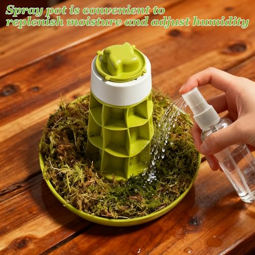 Snail Terrarium Kit Insect Enclosure Bug Terrarium Observation Container Praying Mantis Habitat Breeding Box Micro Habitat Starter Kit for Beetles Spider Small Reptile