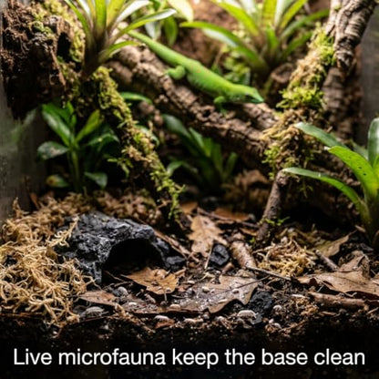 Day Gecko Bioactive Kit - 17qt Premium Bioactive Substrate + 2qt Leaf Litter + 2qt Sphagnum + Charcoal Iso-Flats Hide + 3oz Calcium + 25 Dwarf White Isopods + 8oz Tropical Springtails