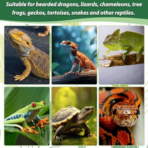 PINVNBY Flexible Bend-A-Branch Jungle Vines Pet Habitat Decor Reptile Plants Terrarium for Lizard, Frogs, Snakes and More Reptiles Climbing (Fat: 43.31 x 0.79 Inch) - size: 1PCS