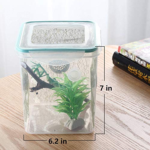Ventilated Mantis Insect Habitat Kit, 6.2 x 6.2 x 7 in | 1.16 US Gal Bug Catcher Cage for Caterpillar, Cricket and Small Insects, Multi-Side Airflow, Animals Not Included