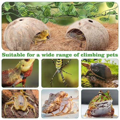 QUOZUO Crested Gecko Tank Accessories, Reptile Climbing Vines Hanging Plants with Coconut Shells Bridge Hideout Hermit Crab Decor for Bearded Dragon Lizard Chameleon Gecko Turtle Snake