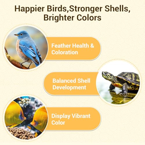 22lb Dried Mealworms for Chickens Duck High Protein Birds Treat | Hand Inspected Poultry Feed, Wild Birds and Chicken Treats, Laying Hens & Bluebirds Food, Worms Fed a Clean Natural Diet - size: 22 Pound (Pack of 1), style: Mealworms