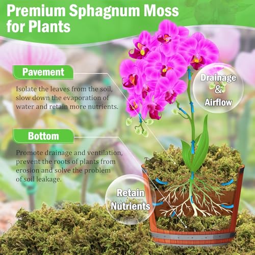 Riare 7OZ Premium Sphagnum Moss for Plants- 10QT Natural Dried Plant Moss | Moisture Retention & Drainage Orchid Moss for Repotting, Succulents, Carnivorous, Ferns, Green Moss for DIY Craft, Reptiles - size: 10 QT(Appx.7oz)