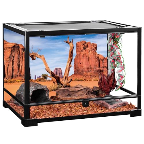 AWERT 48x20 inches Reptile Habitat Background Sky Oasis Mountain Cactus Sun and Desert Terrarium Background Polyester Background - size: 48x20in/120x50cm