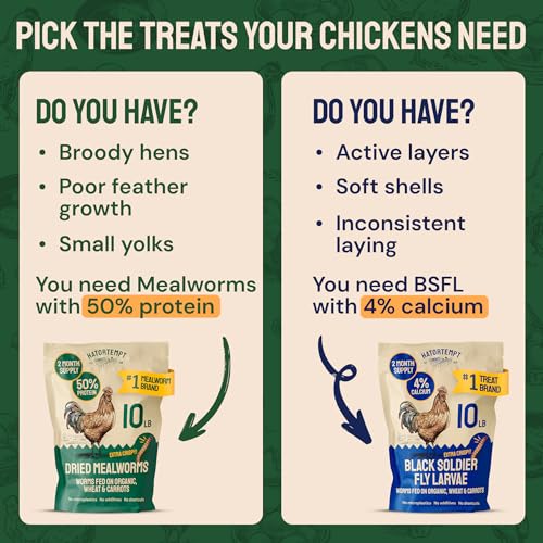 Hatortempt 5lb Dried Mealworms for Chickens & Wild Birds, Chicken Feed | High-Protein Chicken Food - Meal Worms Fed an Organic Diet - Hand Inspected Treats for Laying Hens & Ducks - 2 Yr Shelf Life - size: 5 Pound (Pack of 1)