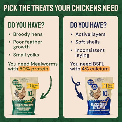 Hatortempt 5lb Dried Mealworms for Chickens & Wild Birds, Chicken Feed | High-Protein Chicken Food - Meal Worms Fed an Organic Diet - Hand Inspected Treats for Laying Hens & Ducks - 2 Yr Shelf Life - size: 5 Pound (Pack of 1)