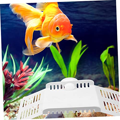 VANZACK 1pc Durable Water Turtle Terrace Plastic Climbing Platform for Reptiles Frog Tortoise Hiding Dock Easy to Clean Basking Area for Turtle Tank