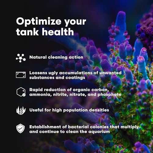 Brightwell Aquatics MicroBacter Clean Marine Aquarium Cleaner Aid, 250 ml - size: 250-ml
