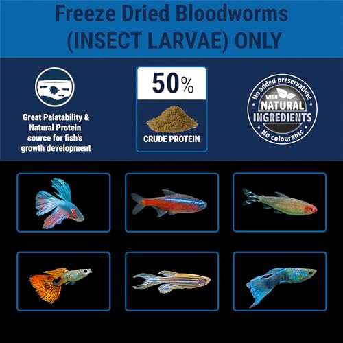 Tetra BloodWorms, Freeze-Dried Food for Freshwater and Saltwater Fish, Seafood,0.25 Oz (Pack of 2) - size: 0.25 Ounce (Pack of 2)