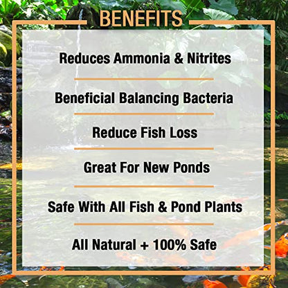 MICROBE-LIFT Nite-Out II Water Cleaner for Outdoor Ponds and Water Gardens, Rapid Ammonia and Nitrite Reduction (16 Ounces) (Pack of 3) - size: 16 Ounces (Pack of 3)
