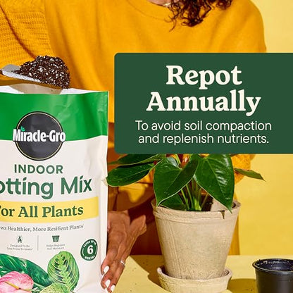 Miracle-Gro Indoor Potting Mix for All Plants, 6 qt., 2-Pack | Use with Houseplants and More, Feeds for up to 6 Months - size: 6 qt (2-Pack), style: 6 QT