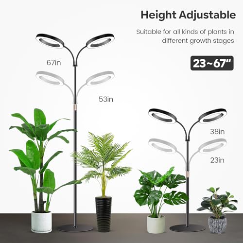 Halo Grow Lights, Dual-Head 6000K LED Floor Plant Light with Base | Full Spectrum 168LEDs Grow Lamp, 3 Color Modes, Timer 6/12/16H, 5 Dimmable Levels, 67'' Adjustable Height, Gooseneck - size: Dual Head（Height 67'')