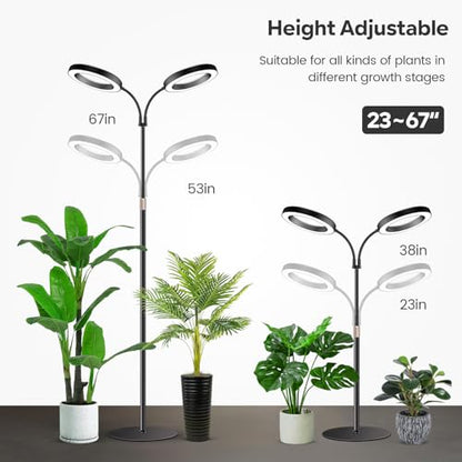 Halo Grow Lights, Dual-Head 6000K LED Floor Plant Light with Base | Full Spectrum 168LEDs Grow Lamp, 3 Color Modes, Timer 6/12/16H, 5 Dimmable Levels, 67'' Adjustable Height, Gooseneck - size: Dual Head（Height 67'')