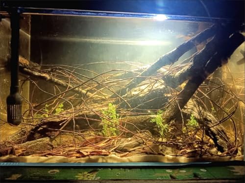 YZHZOM 160g Aquarium Driftwood Roots - Bushy Tank Wood for aquascaping -Perfect for Fry, Shrimp or Terrarium,Natural Wood Roots for Aquarium aquascaping