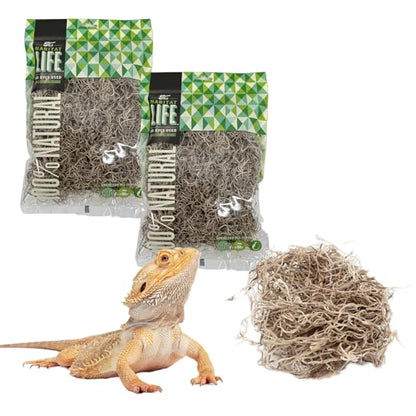 Spanish Moss for Terrarium Habitats, Small 2-Pack | Preserved Moss for Reptiles, Amphibians & Invertebrates Terrariums, Humidity Control, Soft, Dye-Free, Family Owned, USA Made - size: Small 2-pack, style: Spanish Moss