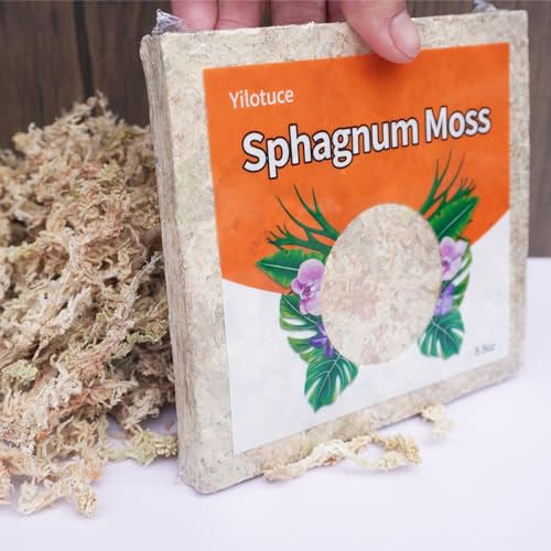 5.5oz Sphagnum Moss for Plants, Premium Compressed Sphagnum Moss for Orchids - size: 5.5 ounce