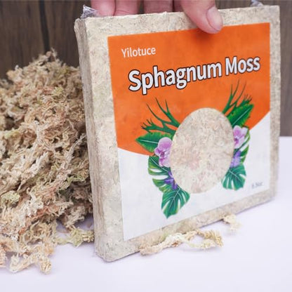 5.5oz Sphagnum Moss for Plants, Premium Compressed Sphagnum Moss for Orchids - size: 5.5 ounce