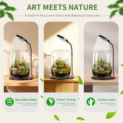 Desk Grow Light with Glass Terrarium, 5X Aperture | Full-spectrum LED, 3 modes, 10 brightness levels, USB power, 28-43 cm pole, 90° rotating head, for moss and succulents - size: 5X magnification