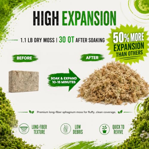 1.1LB Natural Long Fiber Sphagnum Moss Compressed Brick Expands to 30QT, Premium Orchid Moss for Repotting, Carnivorous Plants, Propagation, Moss Pole, Terrarium, Indoor Outdoor Gardening - size: 1.1LB