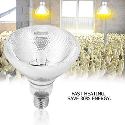 Livestock Heat Lamp, 175W Sunlight Lamp Heating Light Bulb for Reptile Snake Piglet, etc (175W)