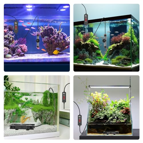 AQQA Small Aquarium Heater,Submersible Fish Tank Heater Adjustable Temperature,Mini Short Dual-use Fish Heater with LED Digital Display Thermostat,Saltwater Freshwater 200W - size: 200W（for 20-40 gal)