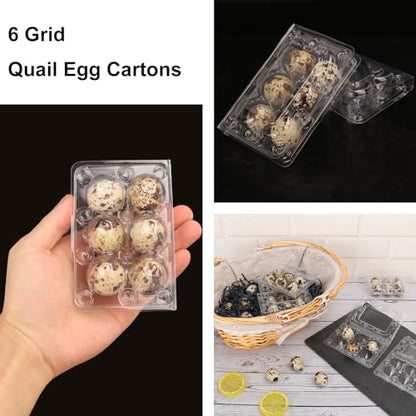 300 Pack Quail Egg Cartons, Clear Plastic Quail Egg Trays, Holds up to 6 Quail Eggs Securely - Your Ultimate Small Eggs Carton Holders for Bulk Storage and Display - size: 300 Pack Quail Egg Cartons 6 Grids