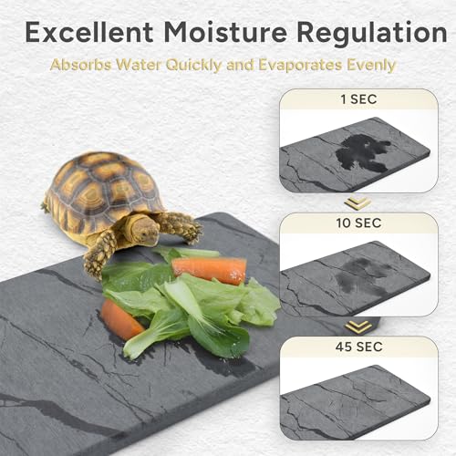 Reptile Basking Platform, 5.9''x9.8'' Diatomaceous Earth Feeding Mat Slate Habitat Accessories for Bearded Dragon Tortoise Lizard Gecko Snake Turtle Tank