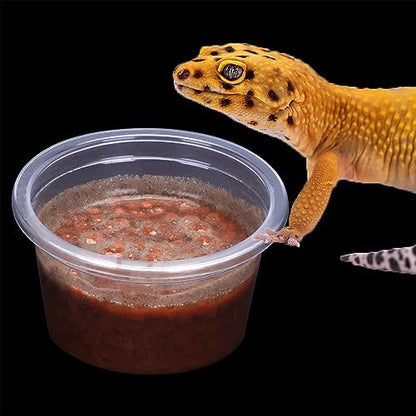AIICIOO Gecko Feeder Ledge Cup 1oz Plastic Bowls 50 Pack Reptile Food Feeder Water Dish Ledge Accessories Bowls for Crested Gecko Lizards Chameleon Spiders Snake Frogs - size: Feeding Cup 50Pcs