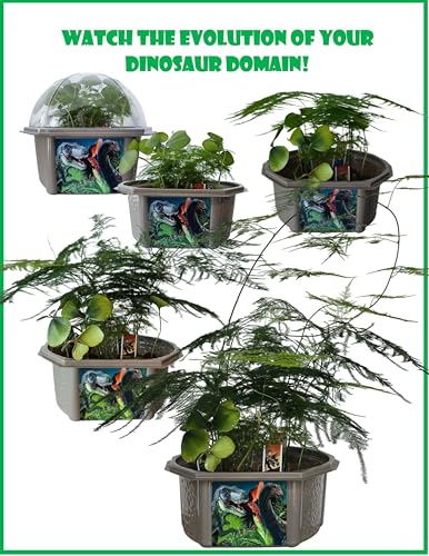 Toys by Nature Biosphere Terrarium Starter Kit, Complete Supplies Included to Grow Your Own Prehistoric Jurassic Park (Dinosaur Domain) - style: Dinosaur Domain