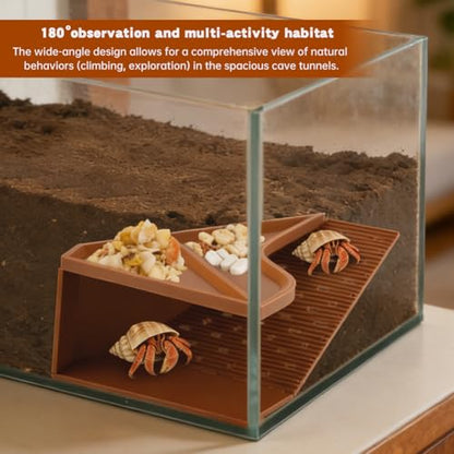 Hermit Crab Cave Habitat,2-in-1 Cave Shelter & Feeding Dish with 180° Observation Climbing Tunnel,Slip-Resistant Staircase Hermit Crab Accessories for Habitat & Tank Setup Decor