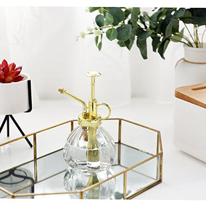 Plant Mister, 6.5" Tall Decorative Glass Water Spray Bottle with Gold Top Pump Small Watering Can by Ebristar - Clear - color: Clear+Gold N