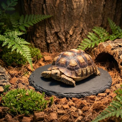 Turtle Basking Platform, 3.9 X 3.9 Inch Reptile Basking Platform | Tortoise Rock Plate Reptile Food Dish Landscape Habitat Decor for Gecko Lizard Bearded Dragon Turtle