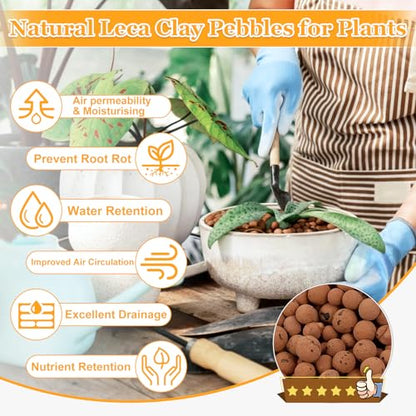 6LB Organic Leca Clay Pebbles for Plants, 4-16mm Natural Leca Balls | Reusable, Drainage, Aeration, Moisture Retention, Hydroponic, Lightweight for Orchids, Succulents, Terrarium, Indoor Plants - size: 6LB