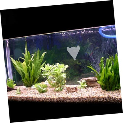 Acrylic Large Feeder Cup Automatic Fish Tank Feeder Worm Feeding Dish for Shrimp and Large Fish Aquarium Supplies
