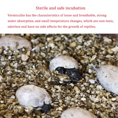 Reptile Feeding Box Turtle Transport Breeding Box Egg Incubator Container with 1.1lb Reptile Substrate Vermiculite Bedding for Snake Tortoise Lizard Hatching Eggs