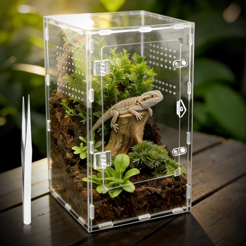 Jumping Spider Enclosure, Insect Terrarium, Bug Cage, Acrylic Terrarium for Tarantula, Snail, Praying Mantis, Frog, and Small Reptiles (7.8" x 7.8" x 13.7") - size: 7.8" x 7.8" x 13.7"